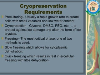 Cryopreservation
Requirements
Preculturing– Usually a rapid growth rate to create
cells with small vacuoles and low water content.
Cryoprotection– Glycerol, DMSO, PEG, etc…, to
protect against ice damage and alter the form of ice
crystals.
Freezing– The most critical phase; one of two
methods is used:
Slow freezing which allows for cytoplasmic
dehydration.
Quick freezing which results in fast intercellular
freezing with little dehydration.
 