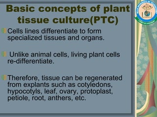 Basic concepts of plant
tissue culture(PTC)
Cells lines differentiate to form
specialized tissues and organs.
Unlike animal cells, living plant cells
re-differentiate.
Therefore, tissue can be regenerated
from explants such as cotyledons,
hypocotyls, leaf, ovary, protoplast,
petiole, root, anthers, etc.
 
