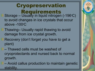 Cryopreservation
Requirements
Storage – Usually in liquid nitrogen (-196o
C)
to avoid changes in ice crystals that occur
above -100o
C
Thawing– Usually rapid thawing to avoid
damage from ice crystal growth.
Recovery (don’t forget you have to get a
plant)
– Thawed cells must be washed of
cryoprotectants and nursed back to normal
growth.
– Avoid callus production to maintain genetic
stability.
 
