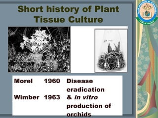 Short history of Plant
Tissue Culture
Morel 1960 Disease
eradication
Wimber 1963 & in vitro
production of
orchids
 