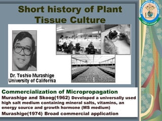 Short history of Plant
Tissue Culture
Commercialization of Micropropagation
Murashige and Skoog(1962) Developed a universally used
high salt medium containing mineral salts, vitamins, an
energy source and growth hormone (MS medium)
Murashige(1974) Broad commercial application
 
