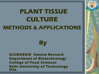 PLANT TISSUE
CULTURE
METHODS & APPLICATIONS
By
OJUEDERIE Omena Bernard
Department of Biotechnology
College of Food Sciences
Bells University of Technology
Ota.
 