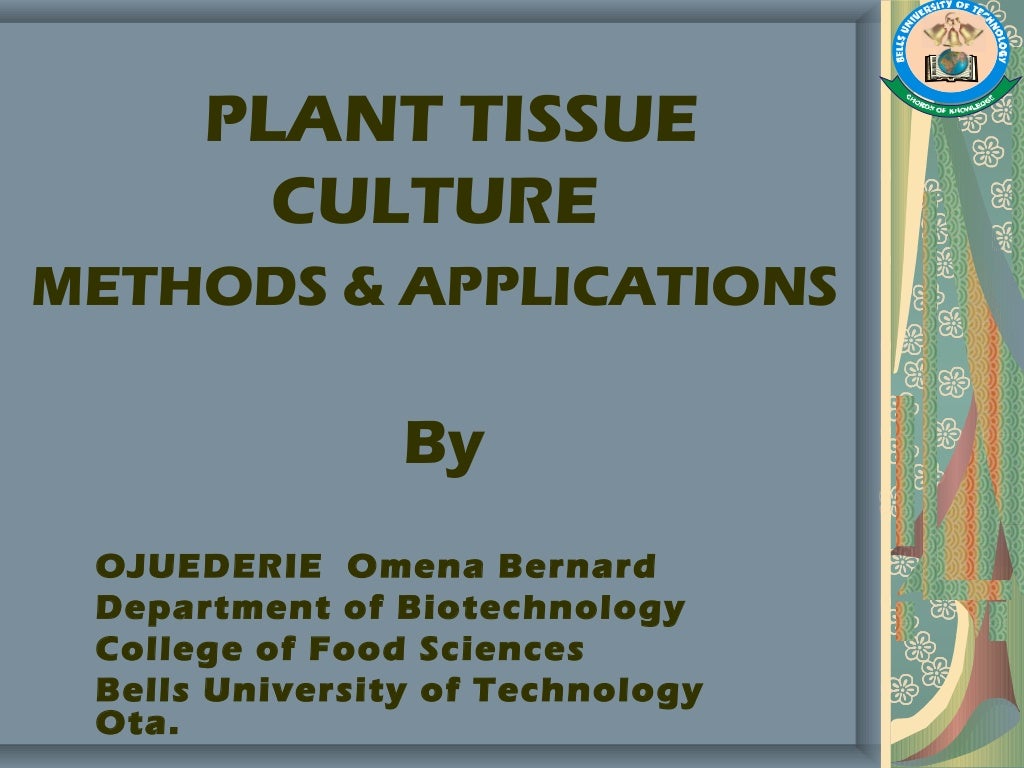 Plant Tissue Culture, Methods and Applications