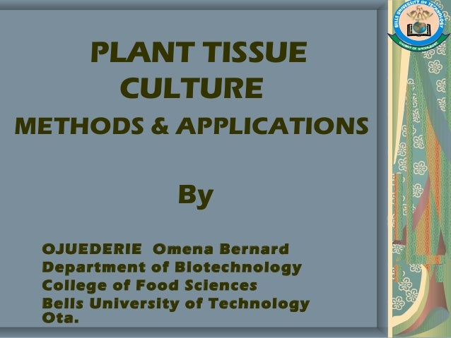 Plant Tissue Culture Methods And Applications - 
