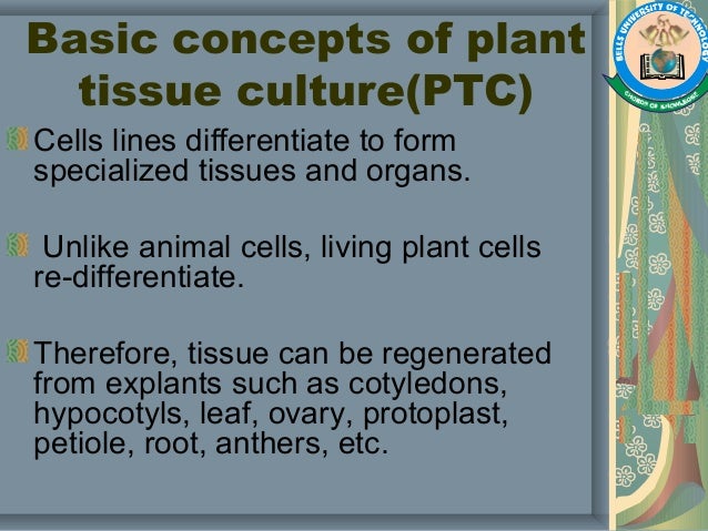 Plant Tissue Culture Methods And Applications