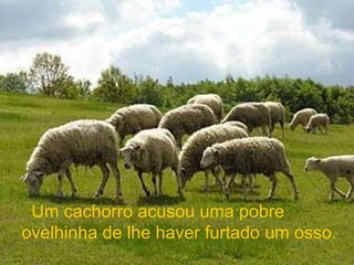    Um cachorro acusou uma pobre ovelhinha de lhe haver furtado um osso. 