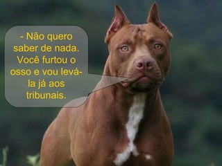 - Não quero saber de nada. Você furtou o osso e vou levá-la já aos tribunais. 