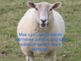 Mas o júri, composto de carnívoros gulosos, não quis saber de nada e deu a sentença: 