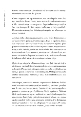 [5]Horadejuntaroscacos
berrava como uma vaca. Com a luz do sol, ficou constatado: era mes-
mo uma vaca holandesa, das grandes.
Como chegou até ali? Aparentemente, veio voando pelos ares e des-
ceu no telhado da casa de seu Nem. Apesar de modesto enfermeiro
e líder comunitário, o personagem era daqueles homens prevenidos.
Sua casa tinha paredes fortes, ripas e caibros de primeira qualidade.
Desse modo, a vaca enfiou violentamente as patas nas telhas, mas pa-
rou na cumeeira.
A notícia tinha estatura para concorrer com a penca de informações
de todos os tipos que circulavam na região. Logo se espalhou. Apesar
das ocupações e preocupações do dia, não demorou a juntar gente
para assistir ao espetáculo inédito. Em pouco tempo, pessoas dos dis-
tritos, das localidades próximas e até de cidades distantes que não so-
freram os efeitos do terremoto e, portanto, não tinham telhado para
consertar, também chegaram para conferir. Aproveitavam o clima de
feriado que o País inteiro vivia em decorrência do golpe.
O pior é que ninguém sabia como tirar a vaca dali. Um veterinário
atestou que o animal não sofrera danos físicos, mas precisava de água
ealimento.Dessemodo,foiimprovisadoumcochonotelhadodeseu
Nem, o que só aumentou a curiosidade geral. Onde já se viu cocho
em teto de residência nenhuma, e ainda mais sendo utilizado? Essa
era demais.
SouzaPepeu,jornalistadeprimeiraerepresentantedoDiário da Noite
em Caruaru soube da confusão. Com o seu faro jornalístico, percebeu
que ali estava uma matéria inédita. Convocou Pissica, um fotógrafo ex-
periente, e mandou-se para Boi Pintado. No dia seguinte, o Diário da
Noitepublicouareportagemeoeditorteveasensibilidadedeperceber
que, no meio da confusão institucional, a vaca no telhado era a grande
opção para atrair os leitores e amenizar o noticiário. Deu destaque ao
retrato, a vaca além de tudo era fotogênica. Foi um sucesso. Os jornais
do Sul também se interessaram pelo tema, virou assunto nacional.
1964 O Julgamento de Deus.indd 100 10/03/2014 13:32:59
 