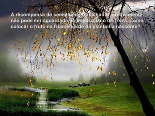 Texto Matriz A recompensa de semelhante trabalhador, efetivamente, não pode ser aguardada no imediatismo da Terra. Como colocar o fruto na fronde verde da plantinha nascente?  