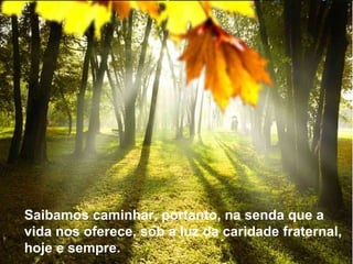 Texto Matriz Saibamos caminhar, portanto, na senda que a vida nos oferece, sob a luz da caridade fraternal, hoje e sempre.   