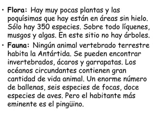• Flora: Hay muy pocas plantas y las
  poquísimas que hay están en áreas sin hielo.
  Sólo hay 350 especies. Sobre todo líquenes,
  musgos y algas. En este sitio no hay árboles.
• Fauna: Ningún animal vertebrado terrestre
  habita la Antártida. Se pueden encontrar
  invertebrados, ácaros y garrapatas. Los
  océanos circundantes contienen gran
  cantidad de vida animal. Un enorme número
  de ballenas, seis especies de focas, doce
  especies de aves. Pero el habitante más
  eminente es el pingüino.
 