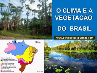 O CLIMA E AO CLIMA E A
VEGETAÇÃOVEGETAÇÃO
DO BRASILDO BRASIL
www.portaldovestibulando.com
 