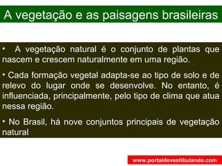 A vegetação e as paisagens brasileiras
• A vegetação natural é o conjunto de plantas que
nascem e crescem naturalmente em uma região.
• Cada formação vegetal adapta-se ao tipo de solo e de
relevo do lugar onde se desenvolve. No entanto, é
influenciada, principalmente, pelo tipo de clima que atua
nessa região.
• No Brasil, há nove conjuntos principais de vegetação
natural
www.portaldovestibulando.com
 