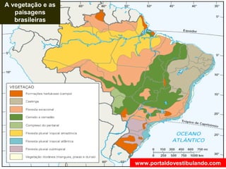 A vegetação e as
paisagens
brasileiras
www.portaldovestibulando.com
 