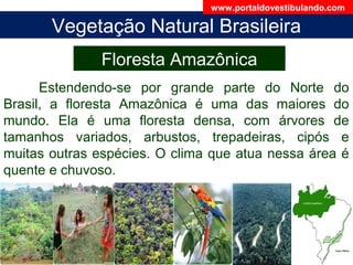 Vegetação Natural Brasileira
Floresta Amazônica
Estendendo-se por grande parte do Norte do
Brasil, a floresta Amazônica é uma das maiores do
mundo. Ela é uma floresta densa, com árvores de
tamanhos variados, arbustos, trepadeiras, cipós e
muitas outras espécies. O clima que atua nessa área é
quente e chuvoso.
www.portaldovestibulando.com
 