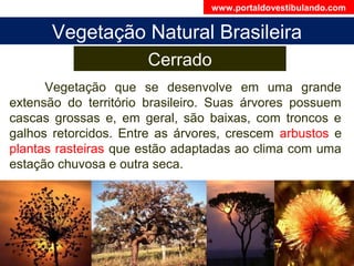 Vegetação Natural Brasileira
Cerrado
Vegetação que se desenvolve em uma grande
extensão do território brasileiro. Suas árvores possuem
cascas grossas e, em geral, são baixas, com troncos e
galhos retorcidos. Entre as árvores, crescem arbustos e
plantas rasteiras que estão adaptadas ao clima com uma
estação chuvosa e outra seca.
www.portaldovestibulando.com
 