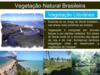 Vegetação Natural Brasileira
Vegetação Litorânea
 Estende-se ao longo do litoral brasileiro,
nas áreas mais próximas ao oceano.
 Vegetação é composta por árvores
baixas e por plantas rasteiras. Em áreas
do litoral onde há o encontro das águas
de rios e do mar, formam-se terrenos
alagadiços onde se desenvolve a
vegetação de mangue.
 