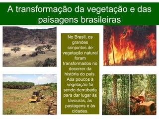 A transformação da vegetação e das
paisagens brasileiras
No Brasil, os
grandes
conjuntos de
vegetação natural
foram
transformados no
decorrer da
história do país.
Aos poucos a
vegetação foi
sendo derrubada
para dar lugar às
lavouras, às
pastagens e às
cidades.
 