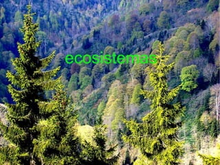 ECOSISTEMAS


ecosistemas
 