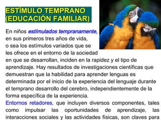 En  niños  estímulados tempranamente ,   en sus primeros tres años de vida,  o sea  los estímulos variados  que se  les ofrece en el entorno de la  sociedad en que se desarrollan,  inciden  en la rapidez  y  el tipo de aprendizaje .   H ay resultados de investigaciones científicas que demuestran que la habilidad para aprender lenguas es determinada por el inicio de la experiencia del lenguaje durante el temprano desarrollo del cerebro, independientemente de la forma específica de la experiencia . E ntornos retadores , que incluyen diversos componentes, tales como impulsar las oportunidades de aprendizaje, las interacciones sociales y las actividades físicas, son claves para aumentar el crecimiento de conexiones neuronales múltiples .   ESTÍMULO TEMPRANO  (EDUCACIÓN FAMILIAR) 