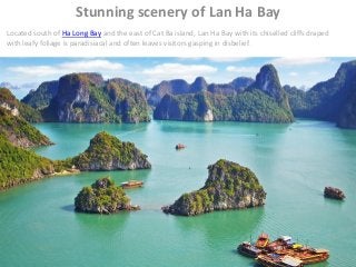 Stunning scenery of Lan Ha Bay
Located south of Ha Long Bay and the east of Cat Ba island, Lan Ha Bay with its chiselled cliffs draped
with leafy foliage is paradisiacal and often leaves visitors gasping in disbelief.
www.evivatour.comwww.evivatour.com
 