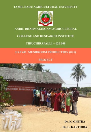 EXP 401 MUSHROOM PRODUCTION (0+5)
PROJECT
TAMIL NADU AGRICULTURAL UNIVERSITY
ANBIL DHARMALINGAM AGRICULTURAL
COLLEGE AND RESEARCH INSTITUTE
TIRUCHIRAPALLI – 620 009
Dr. K. CHITRA
Dr. L. KARTHIBA
 