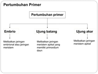 Media pembelajaran pertumbuhan-dan-perkembangan.ppt