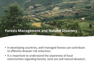 • In developing countries, well-managed forests can contribute
to effective disaster risk reduction.
• It is important to ...
