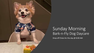 Sunday Morning
Bark-n-Fly Dog Daycare
Drop off Chalu for the day @ 8:00 AM
 