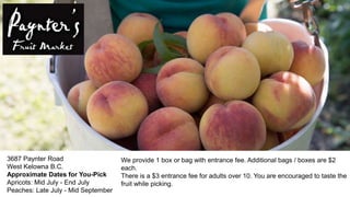 3687 Paynter Road
West Kelowna B.C.
Approximate Dates for You-Pick
Apricots: Mid July - End July
Peaches: Late July - Mid September
We provide 1 box or bag with entrance fee. Additional bags / boxes are $2
each.
There is a $3 entrance fee for adults over 10. You are encouraged to taste the
fruit while picking.
 