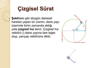 Çizgisel Sürat
   Şekildeki gibi düzgün dairesel
    hareket yapan bir cismin, daire yayı
    üzerinde birim zamanda aldığı
    yola çizgisel hız denir. Çizgisel hız
    vektörü () daire yayına tam teğet
    olup, yarıçap vektörüne diktir.
 