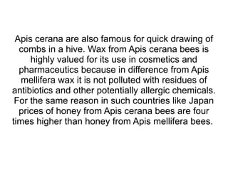 Profitable Beekeeping in Humid Tropics of South East Asia with Asian ...