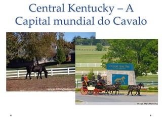 Central Kentucky – A
Capital mundial do Cavalo

 