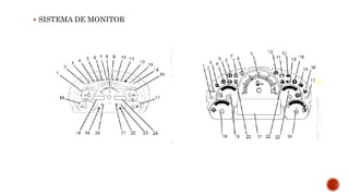  SISTEMA DE MONITOR
 
