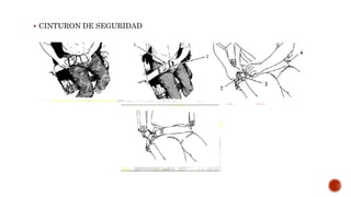  CINTURON DE SEGURIDAD
 