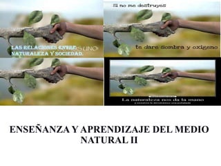 ENSEÑANZA Y APRENDIZAJE DEL MEDIO
NATURAL II
 