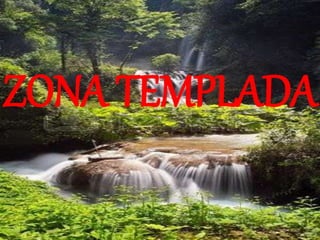 ZONA TEMPLADA
 