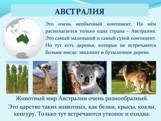 Это очень необычный континент. На нём
располагается только одна страна – Австралия.
Это самый маленький и самый сухой континент.
Но тут есть деревья, которые не встречаются
больше нигде: эвкалипт и бутылочное дерево.
Животный мир Австралии очень разнообразный.
Это царство таких животных, как белки, крысы, коалы,
кенгуру. Только тут встречаются утконос и ехидна.
АВСТРАЛИЯ
 