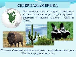 Большую часть этого материка занимают 2
страны, которые входят в десятку самых
развитых на нашей планете, – США и
Канада.
Только в Северной Америке можно встретить бизона и скунса.
Мексика – родина кактусов.
СЕВЕРНАЯ АМЕРИКА
 