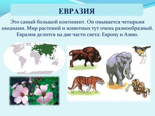 Это самый большой континент. Он омывается четырьмя
океанами. Мир растений и животных тут очень разнообразный.
Евразия делится на две части света: Европу и Азию.
ЕВРАЗИЯ
 