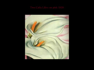 Two Calla Lilies on pink 1928 