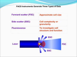 Fscd Flow flow cytometry presentation | PPT