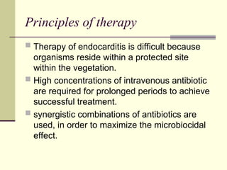 Principles of therapy
 Therapy of endocarditis is difficult because
organisms reside within a protected site
within the vegetation.
 High concentrations of intravenous antibiotic
are required for prolonged periods to achieve
successful treatment.
 synergistic combinations of antibiotics are
used, in order to maximize the microbiocidal
effect.
 