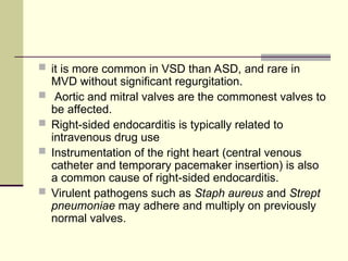  it is more common in VSD than ASD, and rare in
MVD without significant regurgitation.
 Aortic and mitral valves are the commonest valves to
be affected.
 Right-sided endocarditis is typically related to
intravenous drug use
 Instrumentation of the right heart (central venous
catheter and temporary pacemaker insertion) is also
a common cause of right-sided endocarditis.
 Virulent pathogens such as Staph aureus and Strept
pneumoniae may adhere and multiply on previously
normal valves.
 