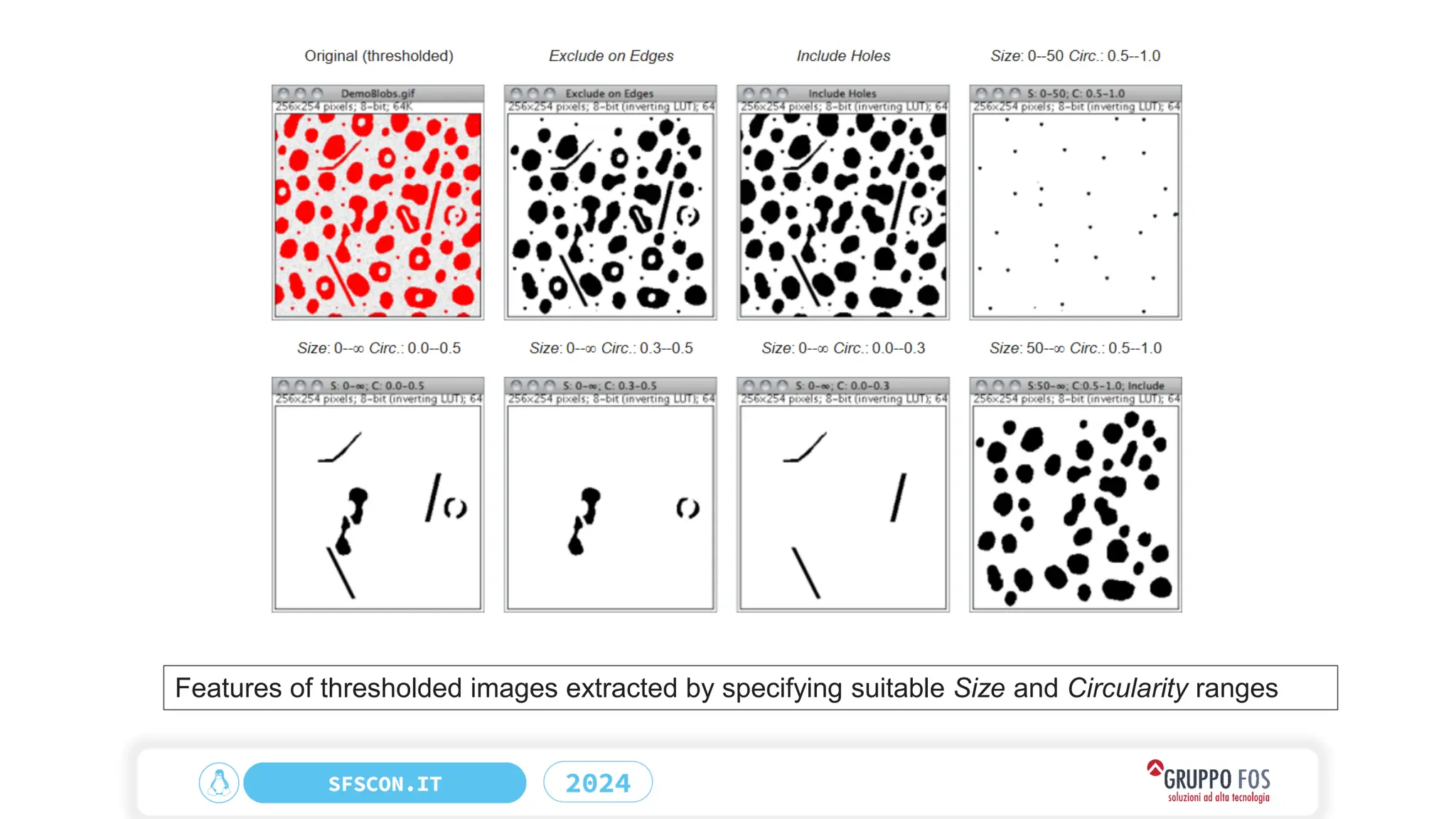 Features of thresholded images extracted by specifying suitable Size and Circularity ranges
 