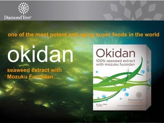 one of the most potent anti-aging super foods in the world   okidan seaweed extract with Mozuku Fucoidan 