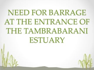 NEED FOR BARRAGE
AT THE ENTRANCE OF
THE TAMBRABARANI
ESTUARY
 