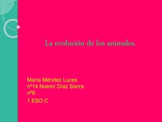 La evolución de los animales.
María Méndez Luces
nº14 Noemí Díaz Sierra
nº9
1 ESO C
 