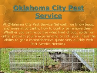 Oklahoma City Pest 
Service 
At Oklahoma City Pest Service Network, we know bugs, 
and more importantly, how to control or remove them. 
Whether you can recognize what kind of bug, spider or 
critter problem you're experiencing or not, you'll have the 
ability to get a comprehensive quote very quickly with 
Pest Service Network. 
 